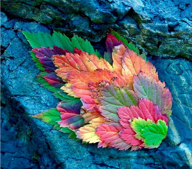 Never Stop Camping (even when it gets cold)